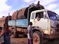 UNICEF: The burden on children in drought-stricken Somalia UNICEF: The burden on children in drought-stricken Somalia