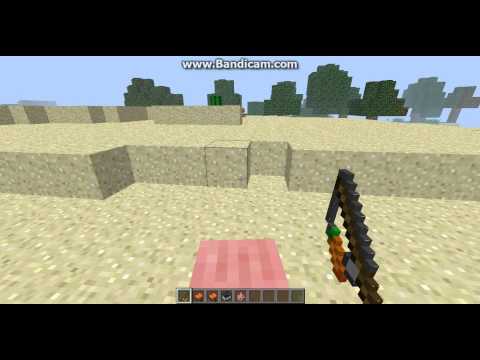 how to get pigs to follow u in minecraft