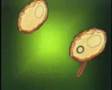 Microbiologia Bacteriana