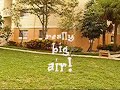 Brushless Rustler jumps and backflips Brushless Rustler jumps and backflips