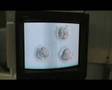 Day 2 (Embryo transfer)