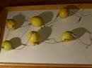 How to make a lemon battery
