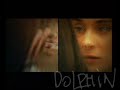 dolphin   dver