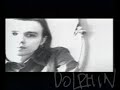 Dolphin - Dver Dolphin - Dver