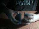 A cut (what is it\ A cut (what is it\
