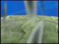 naruto: Dual of Destiny