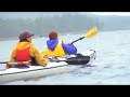 following orca whales in alaska
