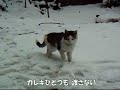 ▼キャラクター紹介▼http://maruko.ninpou.jp/nekoyashiki.html雪と戯れる（？）「ノラピンク（なめ子）」さんのビデオに、「童謡『雪』」の替え歌を付けました。▼「童謡『雪』」の替え歌▼♪野良ネコは冬でも庭かけ回るの会　会歌♪１．猫は「ニャンコ」　野良でも「ニャンコ」食っては寝るわで　ブクブク太る山も野原も　我らが支配ガレキひとつも　渡さない２．猫は頑固　野良ならもっとツンケン　不機嫌　常時自己中犬が愚かに　庭かける間に猫は世界を　駆け巡るCat's video.