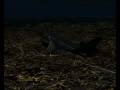 (fsx) my travel night take off (fsx) my travel night take off