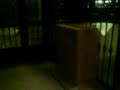 La caja con vida xD