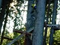 Bikepark Nordpark Seegrube Innsbruck 8er Wippe