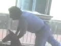 tamba sulle giostrine