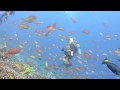Crystal Bay, Nusa Penida (Bali) Indonesia (HD)