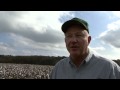 Cotton of the Carolinas: A T-shirt Made in North Carolina
