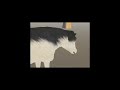 animation 3D Studio Max