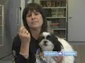 How to Teach an Old Dog New Tricks : Training A Dog to Kiss on Command