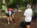 UP elbi kennel club