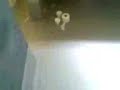 Armo Tv:Behind bars.Prison cell.Part 1 Armo Tv:Behind bars.Prison cell.Part 1