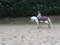 ninOOn et ister ninOOn et ister