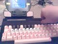 prophet64