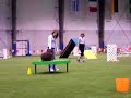 Dog agility