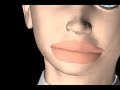 digital recreation of raphael digital recreation of raphael