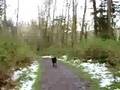 videos de Lessons in early Spring hiking