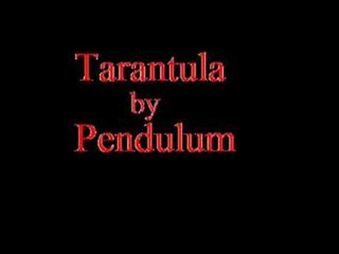 tarantula