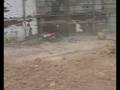 videos de subo racing 1/5 gas monster