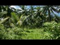 New Hard Trance - Tropical Island