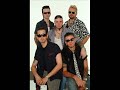 Zorall - Homokóra Zorall - Homokóra
