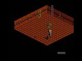 a walkthrough of the immortal (nes version).