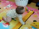 Shingil Crawling For Keys Shingil Crawling For Keys