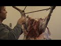 Methods of skinning your Deer segment 1