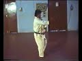 seibukan shorin ryu  Ananku (shotokan)