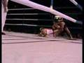 Fight-Gala-Lauri-vs-