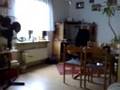 videos de Video von meinem Handy (08072008018.mp4)