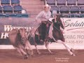 Maverick - Western Horse
