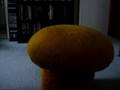 Tedy and the Killer Mushroom