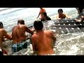 辻堂海岸の地引き網にかかったジンベイザメ | We Japanese rescued a whale shark