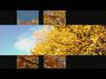 Monocorde- Ignace Lai