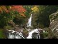 videos de 笹の滝