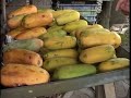 بد بو ترین میوه مناطق استوایی که اعتیاد آور است