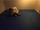 BJJ No-Gi Rolling Home Gym Shane Vs. Luke Round 6