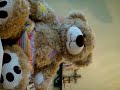 pooting teddy