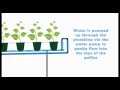 Basic run down on NFT systems (Nutrient Film Technique)