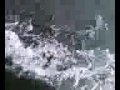 videos de luders 21 sailing