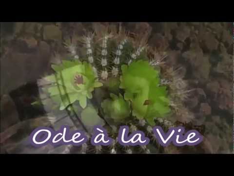Image de prévisualisation YouTube