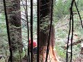 Falling Heli Wood-clip 1