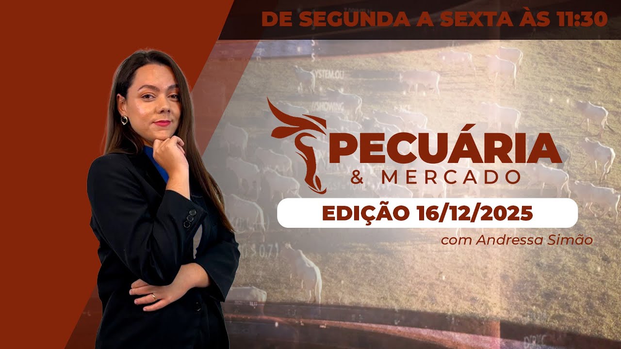 PECUÁRIA E MERCADO - EDIÇÃO 16-12-2025